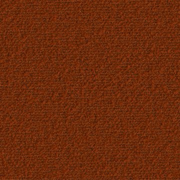 CAMIRA NESTA NES06-Burrow